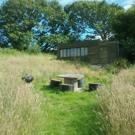 Stags View,Unique Eco Cabin, Dartmoor Views South Brent Eksteriør billede