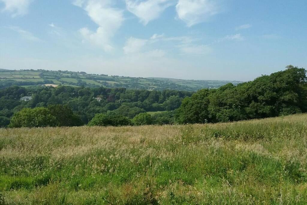 Stags View,Unique Eco Cabin, Dartmoor Views South Brent Eksteriør billede