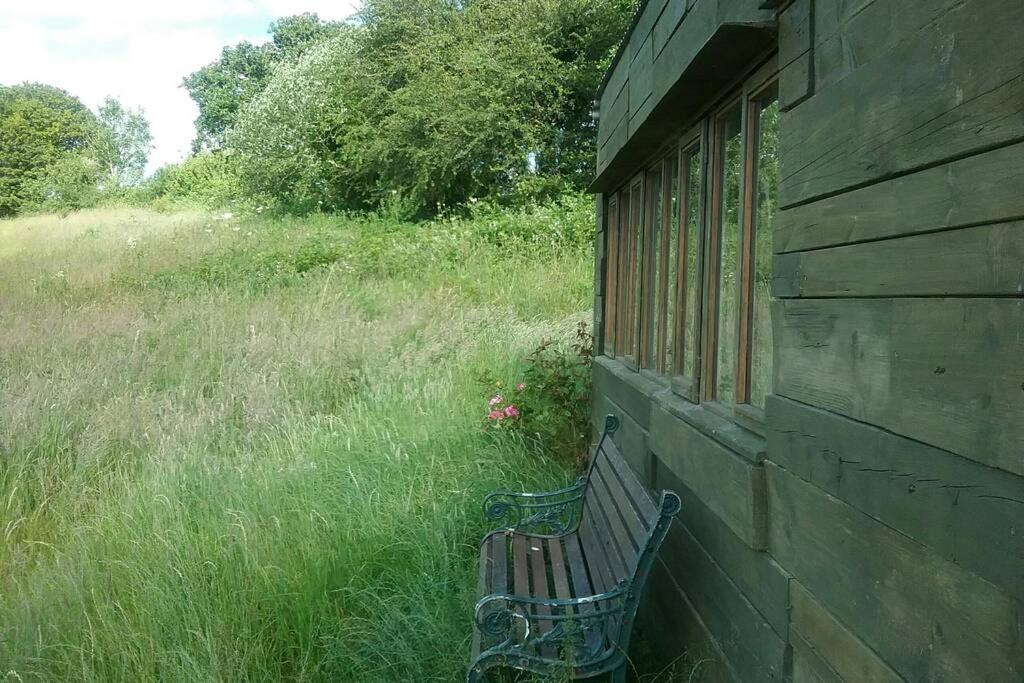 Stags View,Unique Eco Cabin, Dartmoor Views South Brent Eksteriør billede