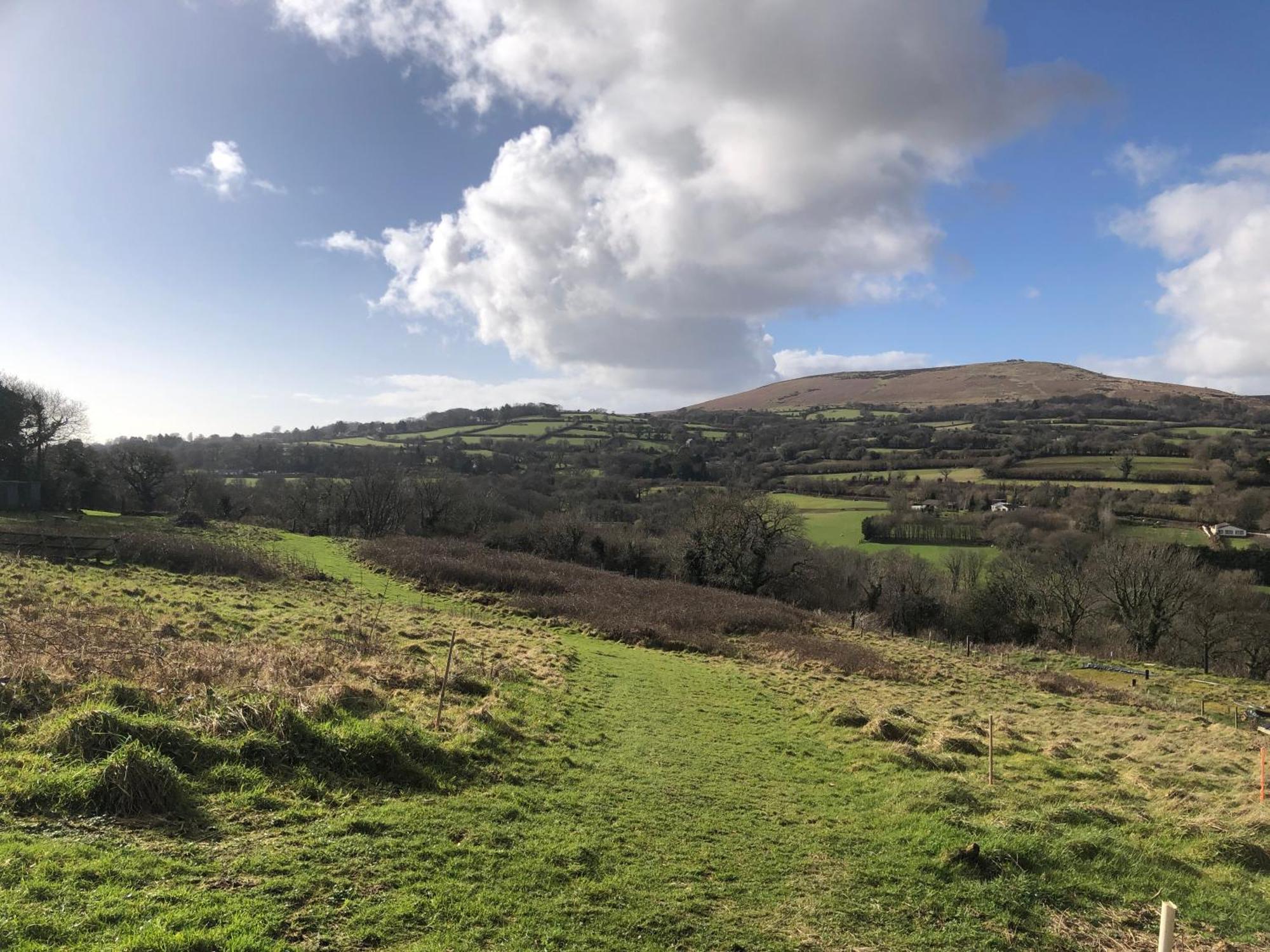 Stags View,Unique Eco Cabin, Dartmoor Views South Brent Eksteriør billede